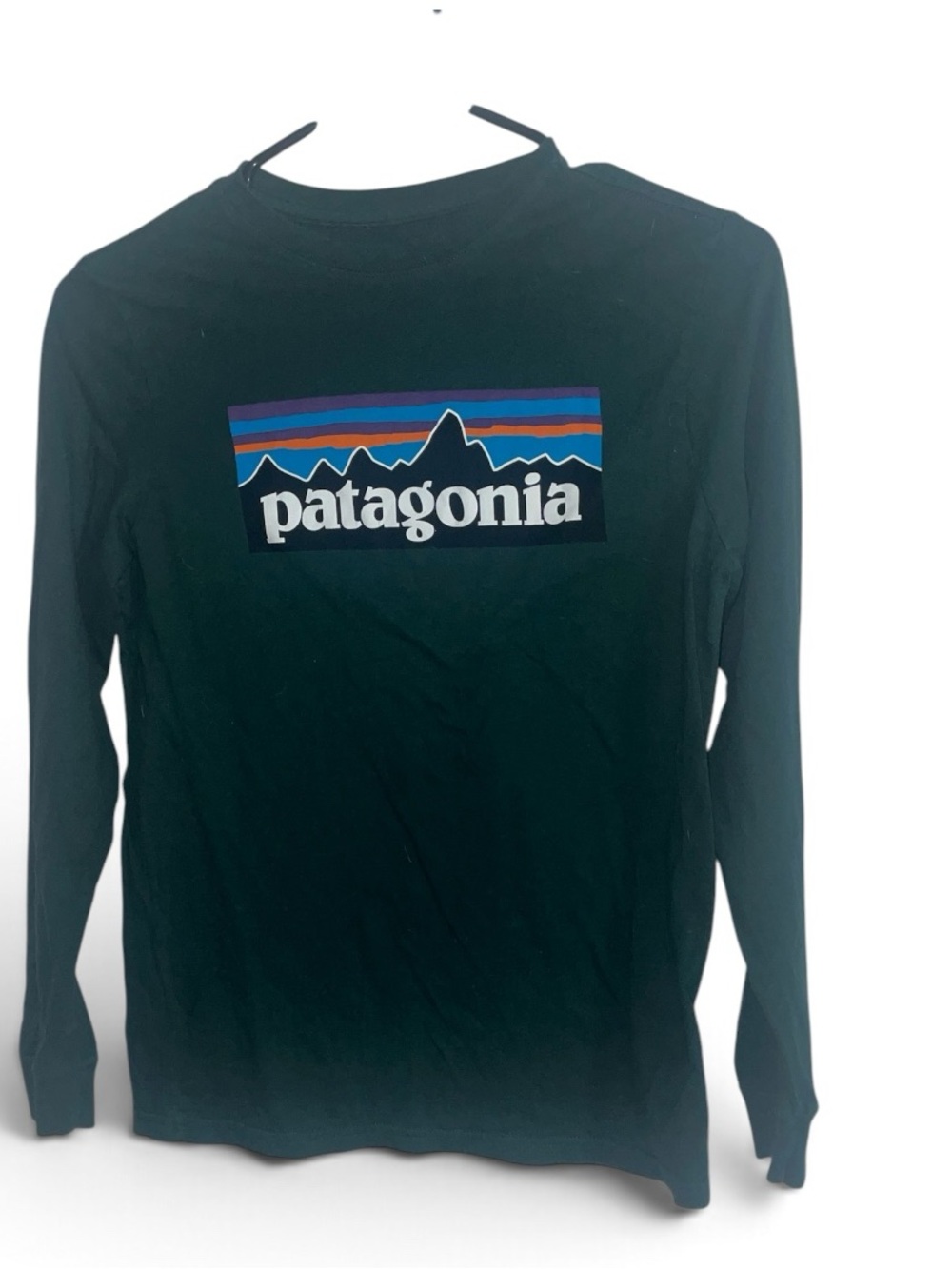 Patagonia Kids' Long-Sleeved P-6 Logo T-Shirt